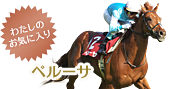 わたしのお気に入り ペルーサ