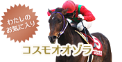 わたしのお気に入り コスモオオゾラ