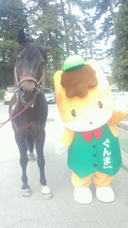 競馬女子部 日本で唯一の 馬が群れてるところ