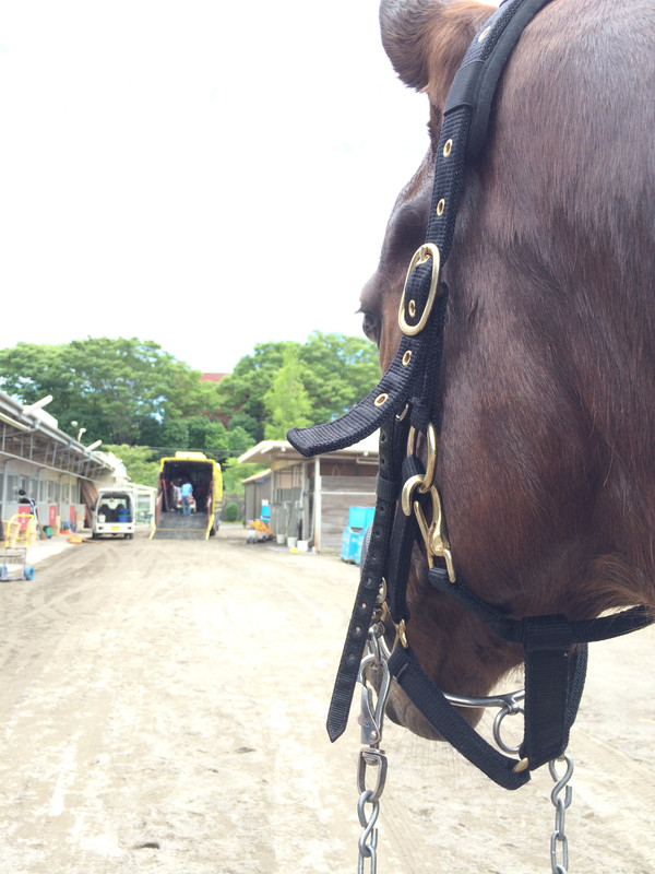 競馬女子部 夏はタマや