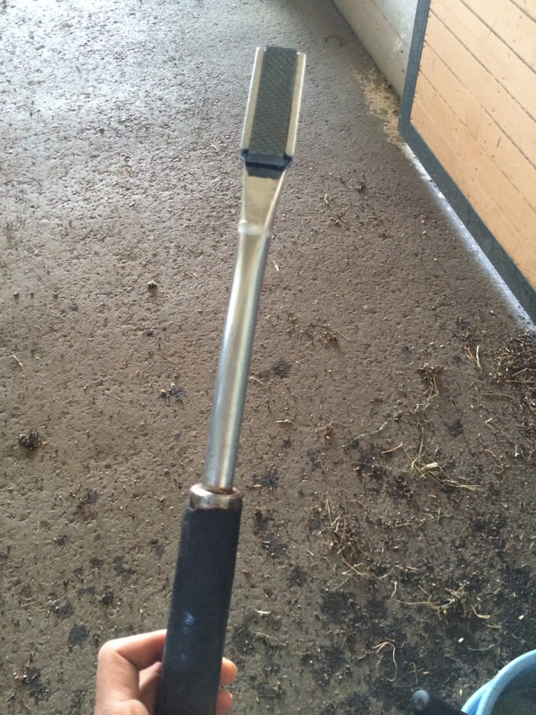 競馬女子部 馬の歯医者さん