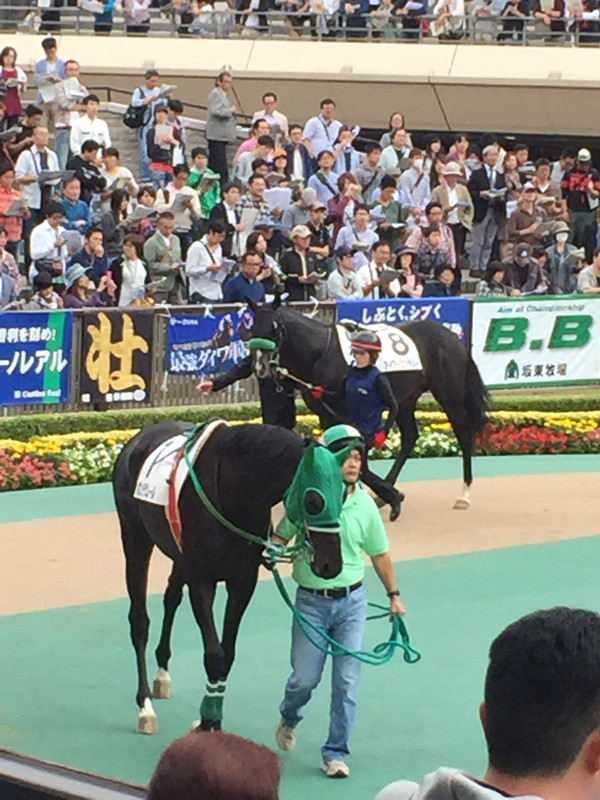 競馬女子部 : 全敗・・・