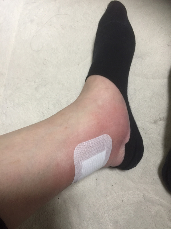 競馬女子部 フレグモーネ