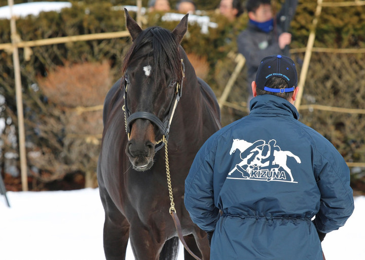 競馬女子部 : 社台スタリオンパレード。