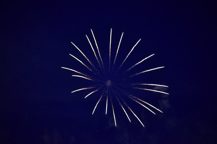 競馬女子部 東京競馬場 夏の風物詩