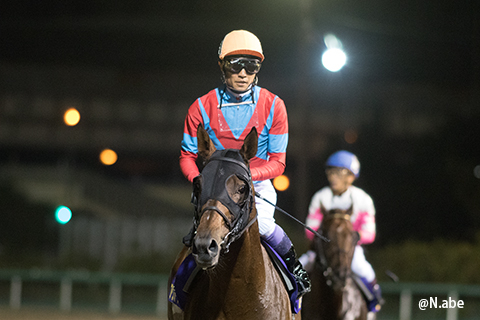 競馬女子部 : アウォーディー（JRA）日本テレビ盃制覇！と、ダンディな