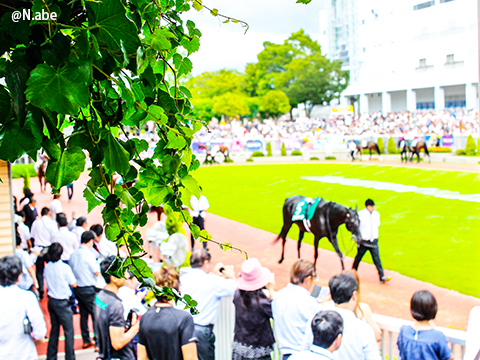 競馬女子部 : 新潟競馬場あれこれ、と今週末はワールド