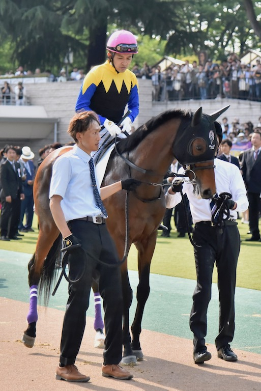 競馬女子部 : 第85回・日本ダービー！！！