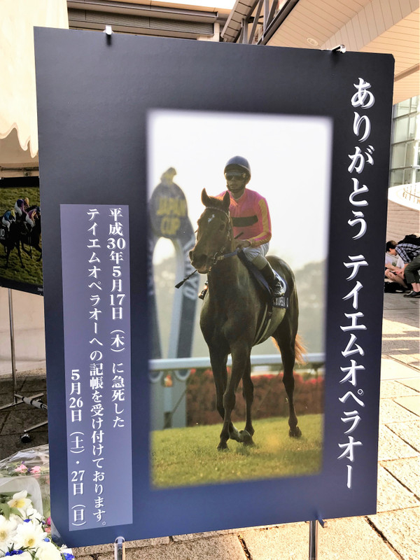 競馬女子部 : 感動の宝塚記念