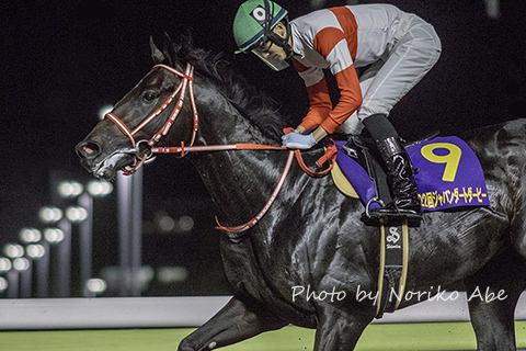 競馬女子部 : 3歳ダート王にダノンファラオ（栗東 矢作厩舎）！