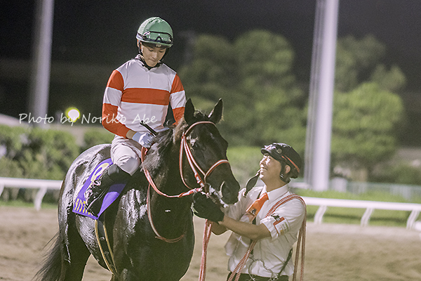 競馬女子部 : 3歳ダート王にダノンファラオ（栗東 矢作厩舎）！