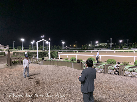 競馬女子部 : 3歳ダート王にダノンファラオ（栗東 矢作厩舎）！