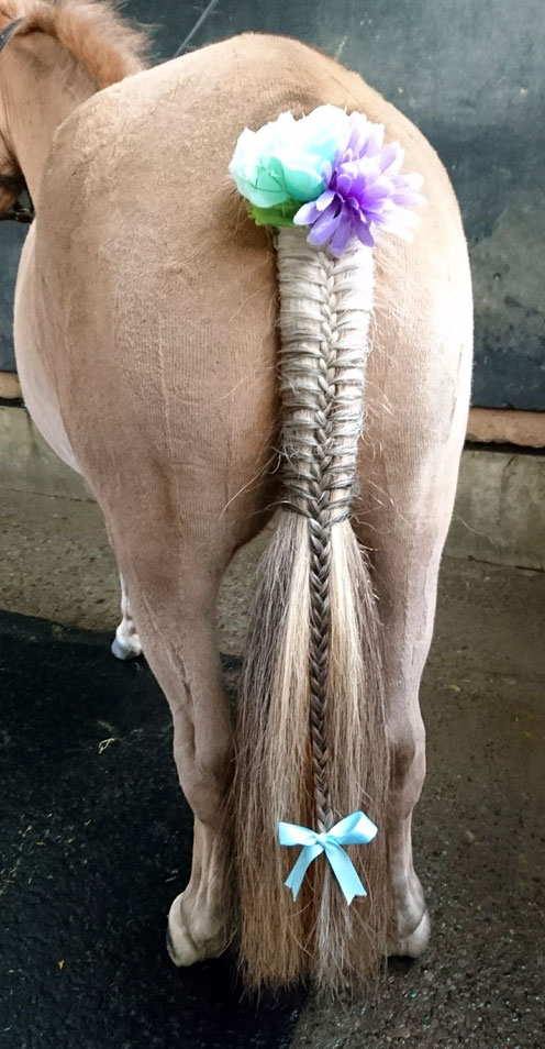 競馬女子部 馬を編む
