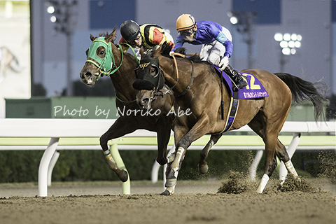 競馬女子部 : 大井のJBCを写真で振り返りました