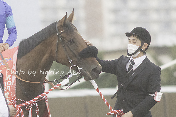 競馬女子部 : 大井のJBCを写真で振り返りました