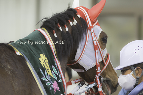 競馬女子部 : エンプレス杯(JpnII)マルシュロレーヌ優勝 競馬女子部 : エンプレス杯(JpnII)マルシュロレーヌ優勝