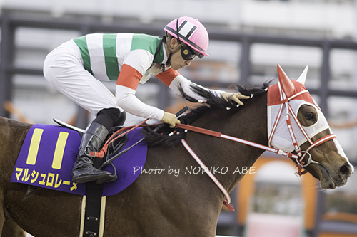 競馬女子部 : エンプレス杯(JpnII)マルシュロレーヌ優勝 競馬女子部 : エンプレス杯(JpnII)マルシュロレーヌ優勝