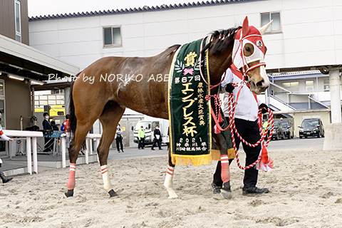 競馬女子部 : エンプレス杯（JpnII）マルシュロレーヌ優勝