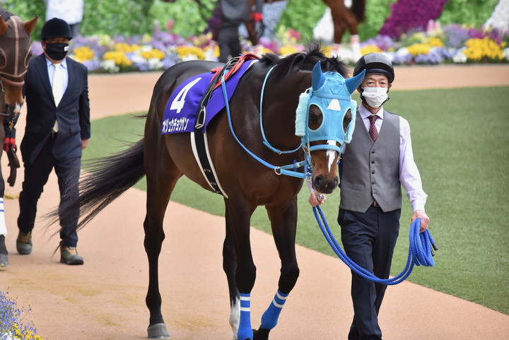 競馬女子部 : 1年ぶりの競馬場へ！② 〜中山グランドジャンプ〜