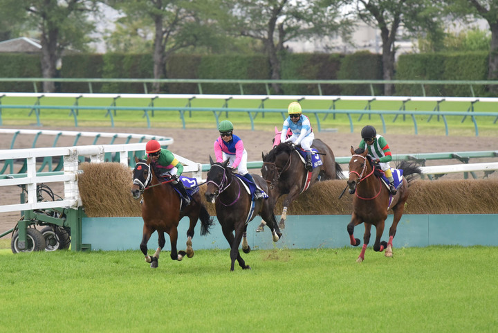 競馬女子部 : 1年ぶりの競馬場へ！② 〜中山グランドジャンプ〜