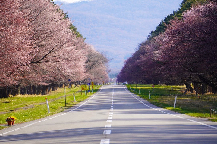 競馬女子部 馬たちの日常を覗いてみませんか