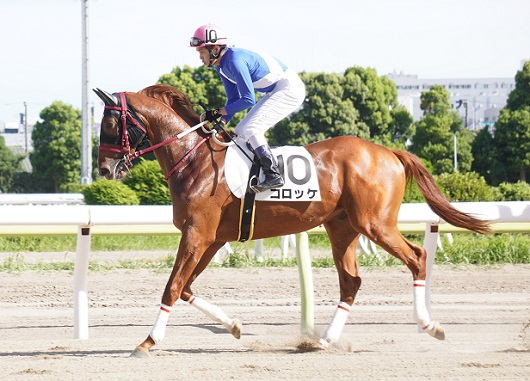 競馬女子部 かわいい名前の仔たち
