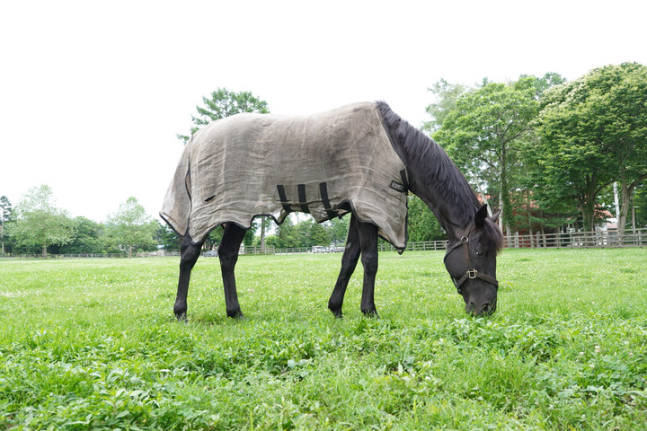 競馬女子部 うまキッズがユーバーレーベンとご対面