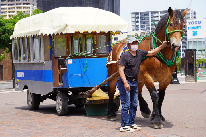 競馬女子部 : 札幌まちばしゃ、スタートです！