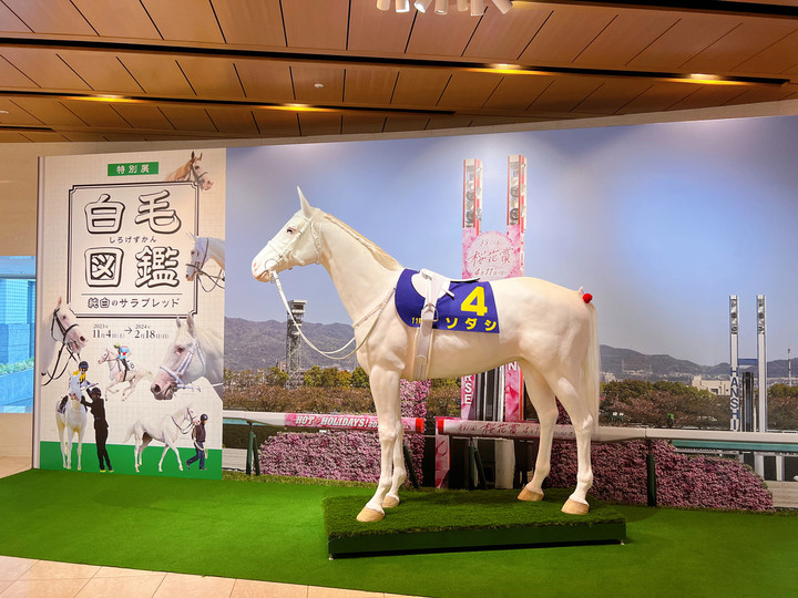 競馬女子部 : JRA競馬博物館の特別展「白毛図鑑 純白のサラブレッド」