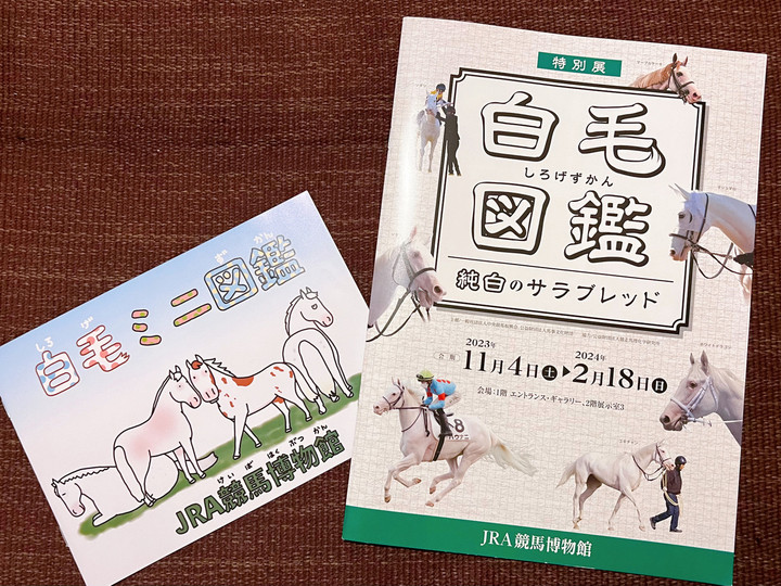 競馬女子部 : JRA競馬博物館の特別展「白毛図鑑 純白のサラブレッド」