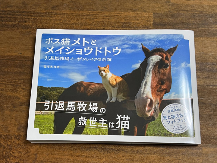 ネコパンチ13冊 ねこぱんち 13周年号 (にゃんCOMI廉価版コミック) | アンソロジー |本