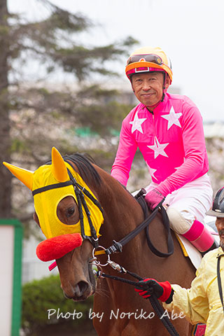 競馬女子部 : 桃色、桜色が輝く季節に。