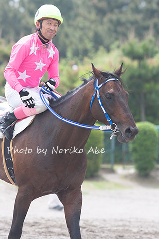 競馬女子部 : 桃色、桜色が輝く季節に。