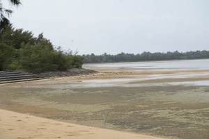 Dsc04032