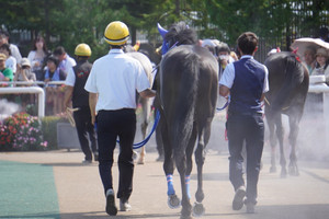 Dsc04858