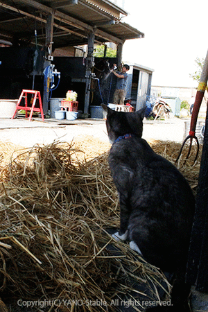 _jpg_113476 _jpg_113476