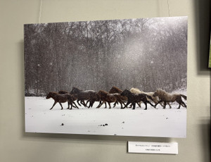 S__64036918_0 S__64036918_0