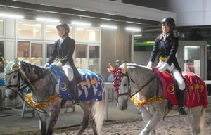 Photo_6