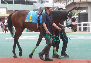 Photo_2 Photo_2