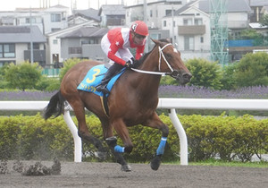 Photo_3