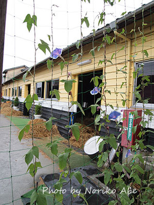 P7076881