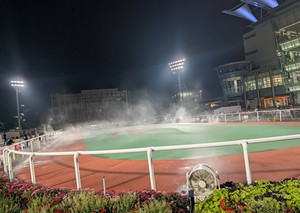 Photo_2 Photo_2