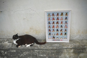 Img_5857 Img_5857