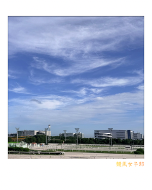 Photo_4